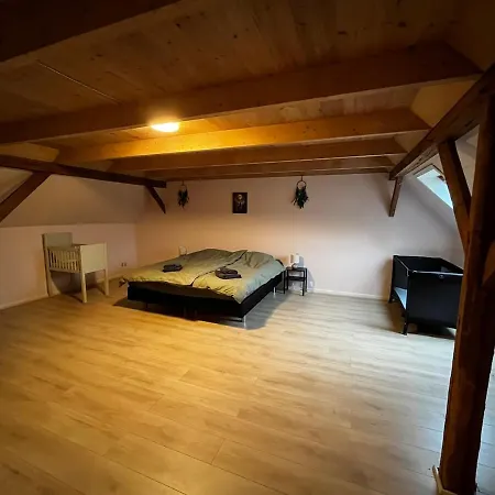 Large Vacation For 12 People Hébergement de vacances Logumkloster