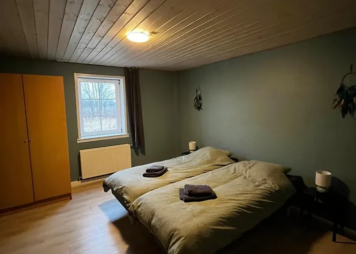 Large Vacation For 12 People